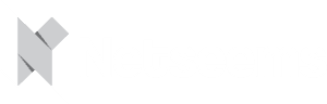 Netseems